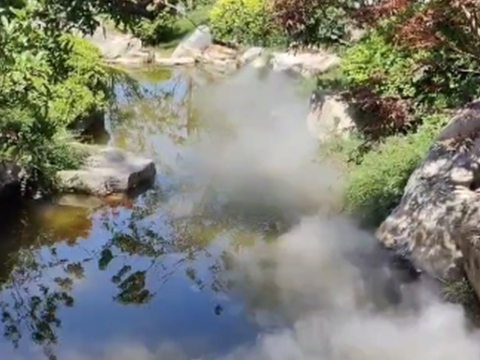 宝鸡 太白山唐镇景区雾森项目